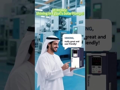 Automatic Running MPPT VFD Solar Pump Inverter Popular in Egypt!