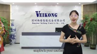 Explain VEIKONG VFD price cost come from