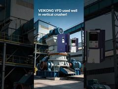 VEIKONG VFD in vertical crusher 